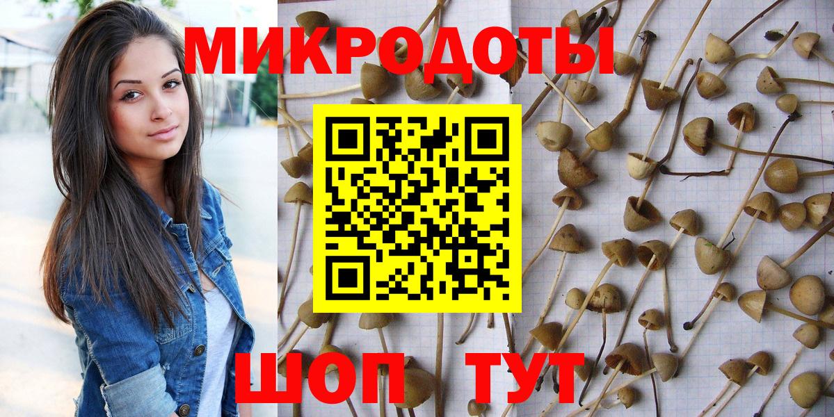 дарнет шоп  Вход с VPN  Беслан  Галлюциногенные грибы Magic Shrooms 