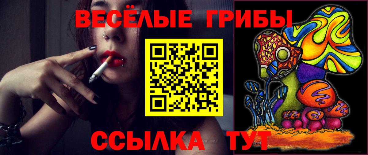 Псилоцибиновые грибы GOLDEN TEACHER Беслан